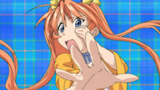 Negima 41